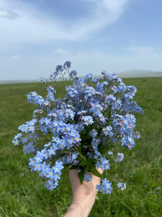 Прикольные и просто красивые картинки 10.05.2024
