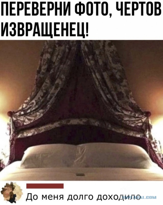 Весёлый полтишок 04.06.24
