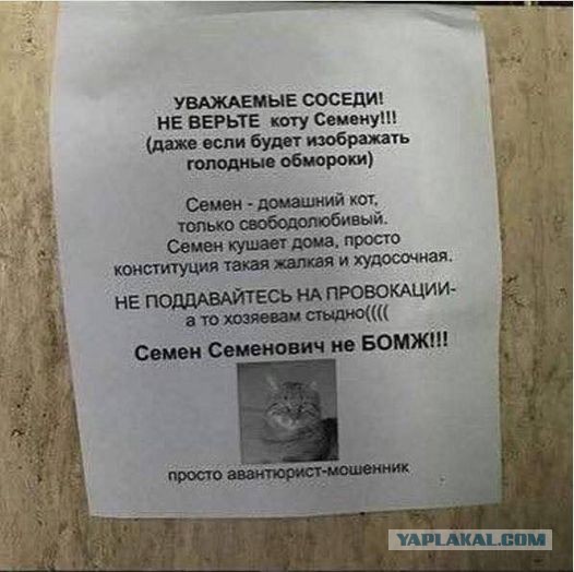 Картинки и буквы 24.06.2024