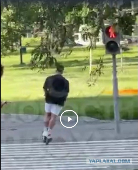 Как уже достали эти твари на тротуарах