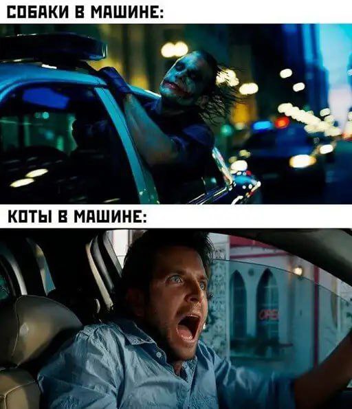Сборник бабаянов или неожиданная помойка