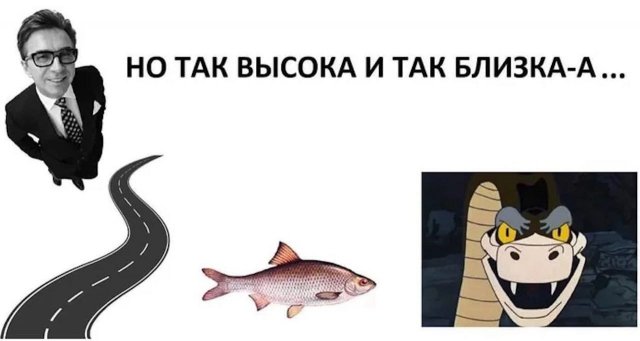 Так себе картинки 26.08.24