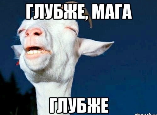 В Краснодаре задержали блогера «магу-трудягу», который ради контента издевался над людьми на камеру