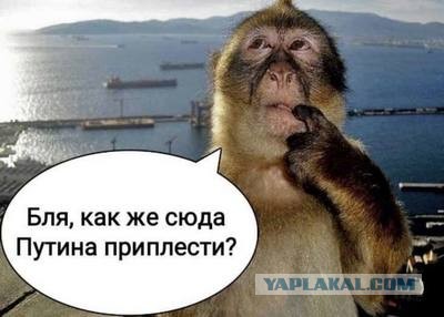 Про армию