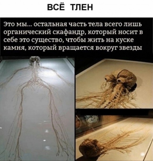 Завалялось тут случайно немного забавных картинок