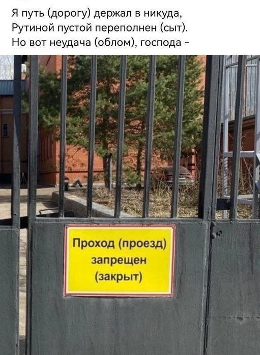 Немного картинкафф для настроения (баяны-перебаяны)