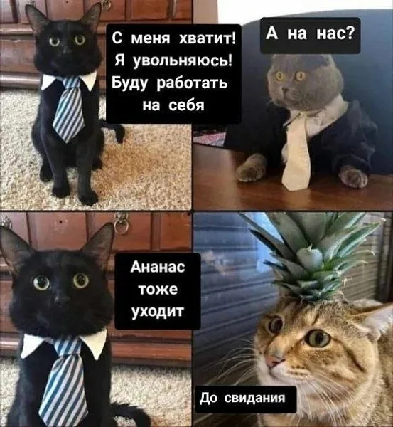 Куда делись ананасы?