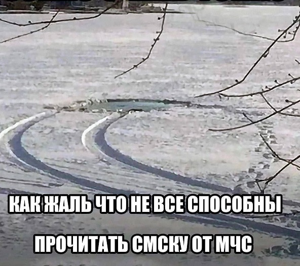 Отличного дня!