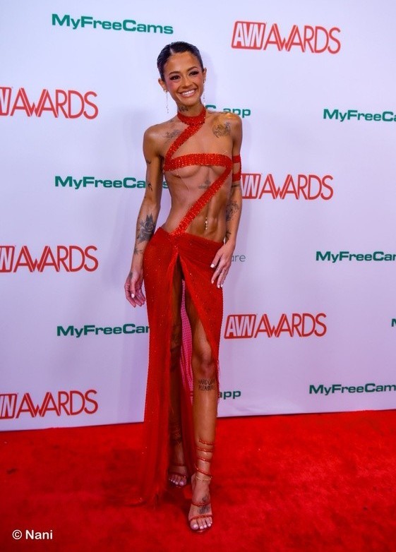 AVN Awards 2026 | Порно-Оскар 2026