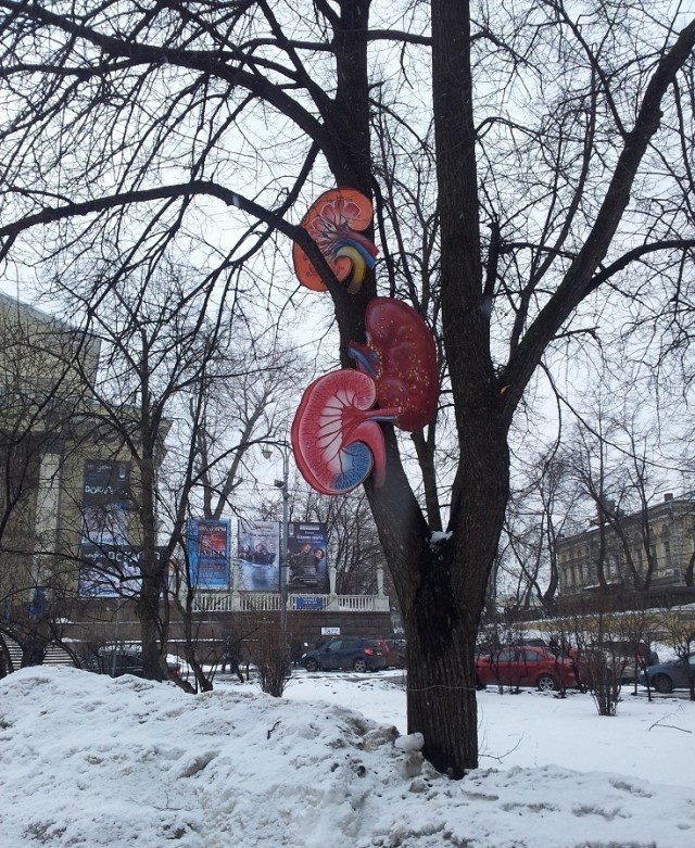 - Привезите мне батенька дичи всякой, и цветочек аленький!