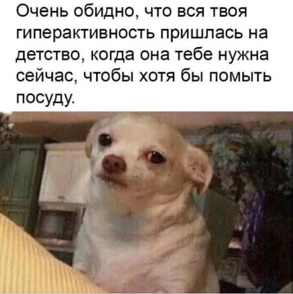 Картиночки, баянчики 05 июня