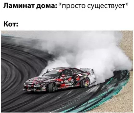 Картинки для деградации 222 (разной степени свежести)