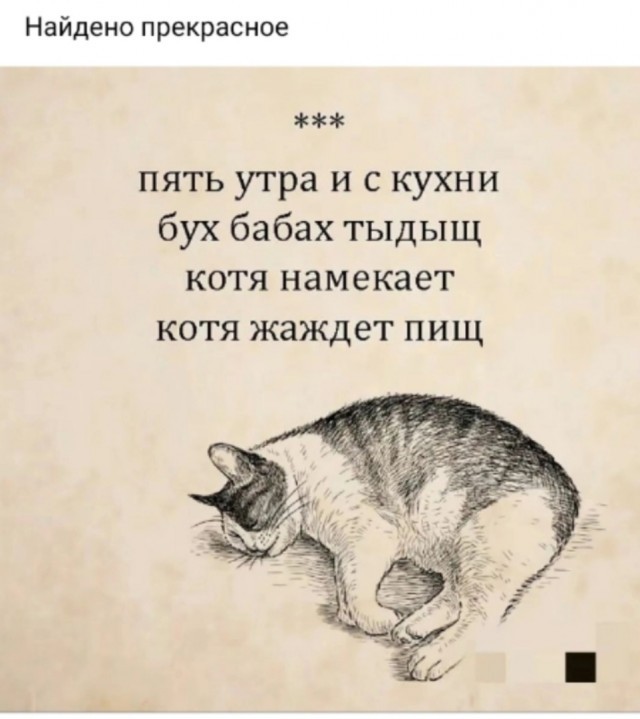 Всемирный день котиков.