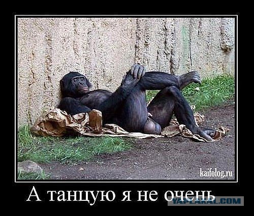 Самые провальные сексуальные снимки