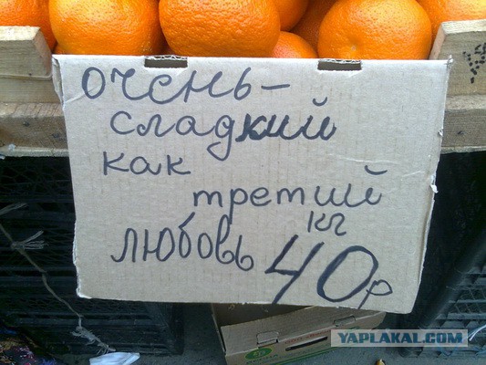 Не оскудеет земля идиотами