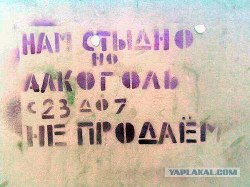 Маразмы года 2013