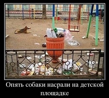 Поймали догхантера