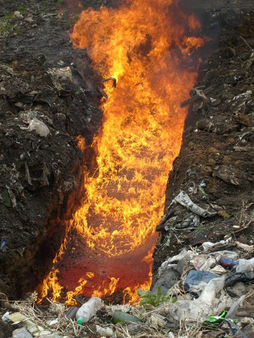 Как сгорает тонна красной икры