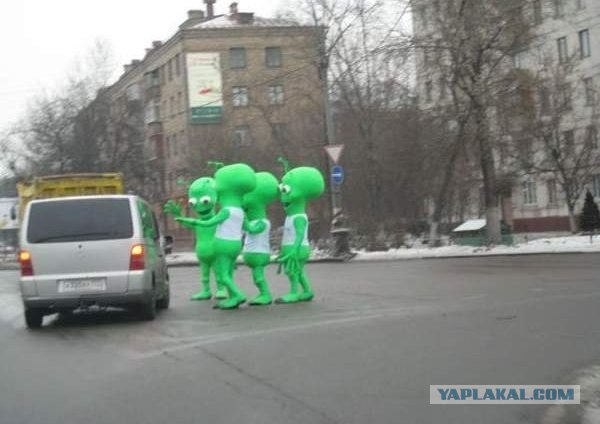 Такие соседи...