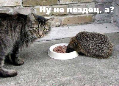 Смешное из сети