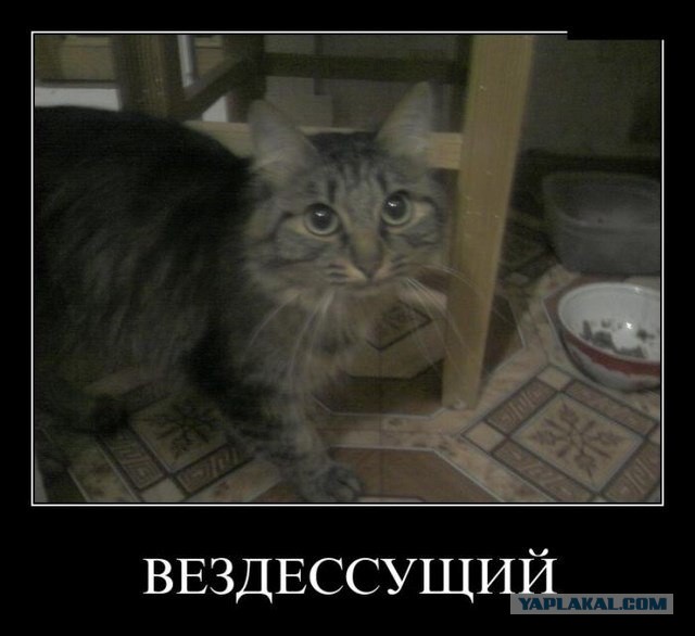 Демотиваторов пост, добавляйте свои