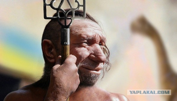 Корреспондента LifeNews в Киеве избили журналисты