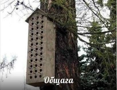 Весёлые картинки