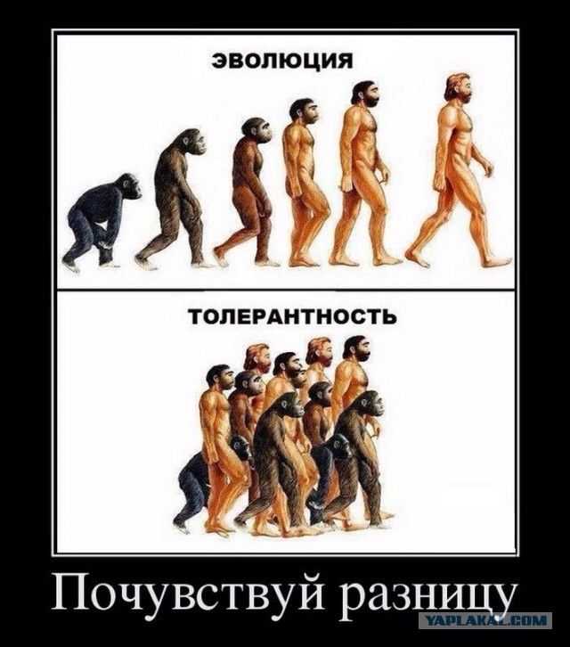 Немножко про толерантность...