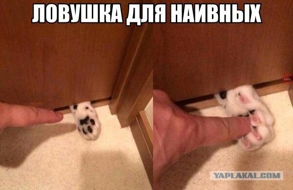 Смешные и не очень картинки из ВК