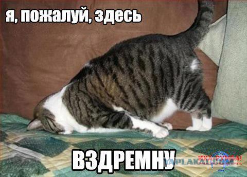 Очередная порция картинок из сети