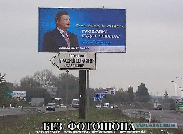 Предвыборный юмор по-украински (коте одобряет)