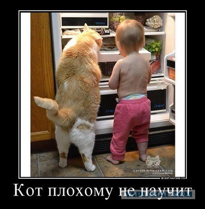 Подборка веселостей из сети