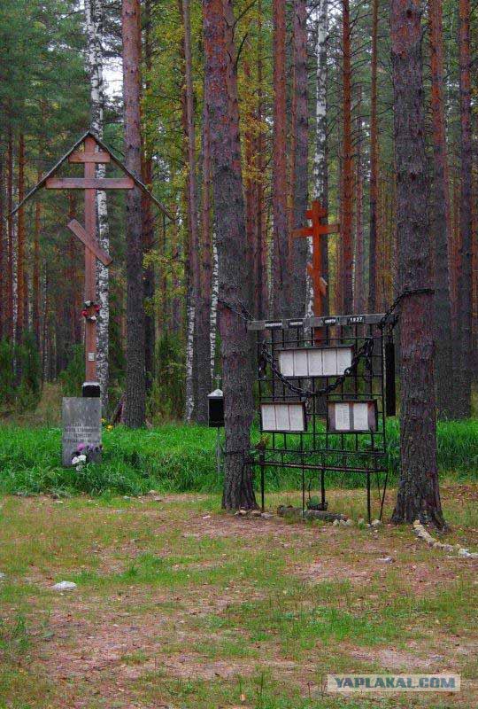 Деревенская Америка