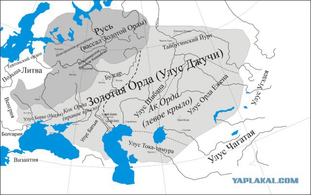 Интересы турецких жён