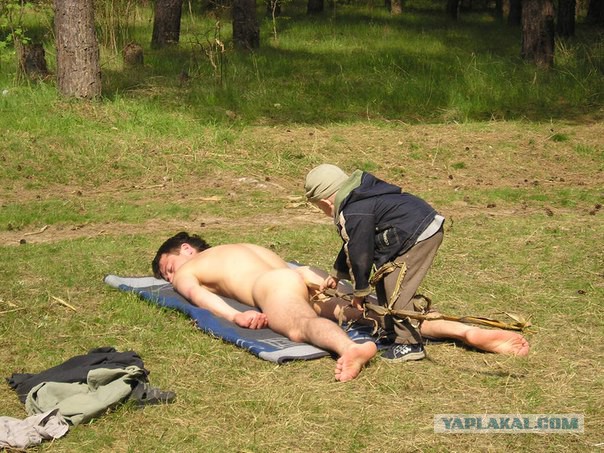 Вестник соцсетей