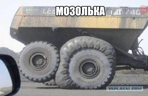 Забавные картинки из Сети