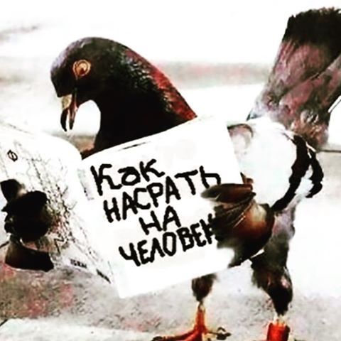 Подборка картинок из сети