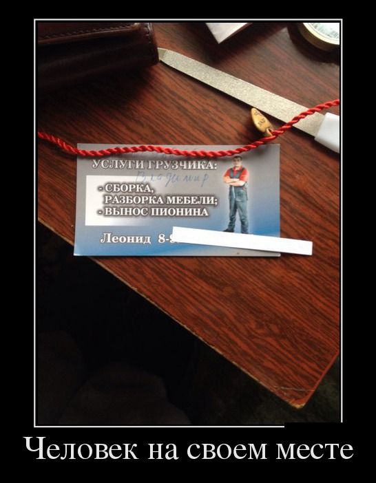 Демы без Темы