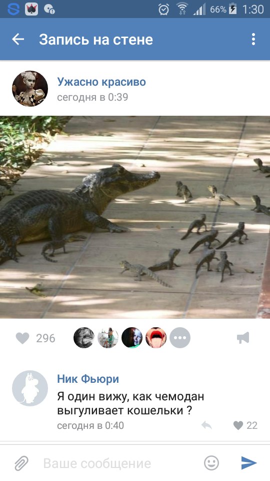 Ужасы и приколы из соцсетей 18+