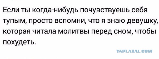 Может, поможем всем миром, а?