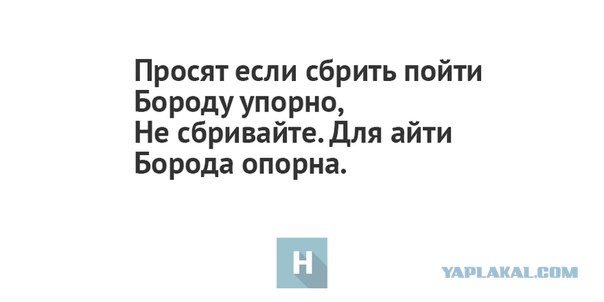 Борода
