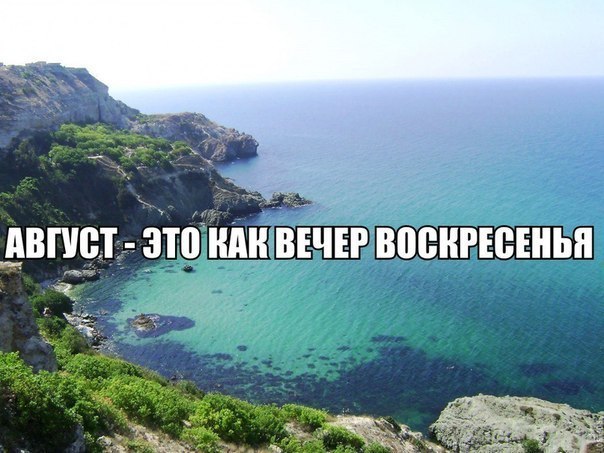 Всякое разное из интернета