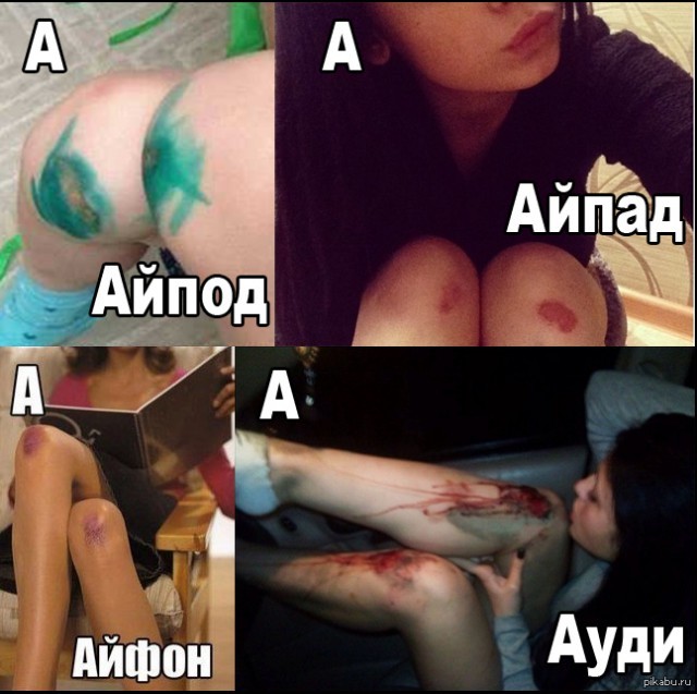 В мире животных