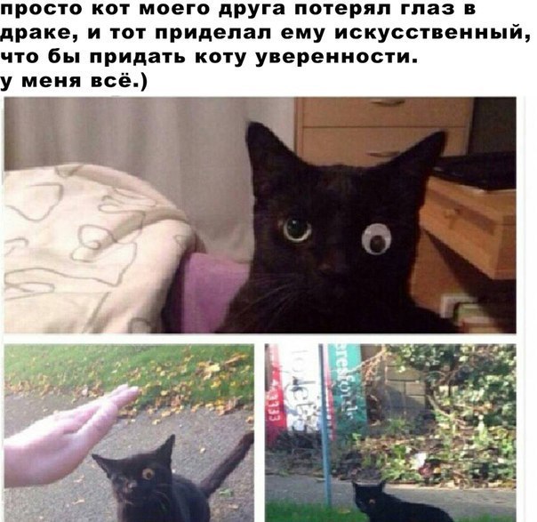 Юмор не для всех