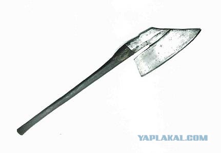 У Хабаровских живодерок нашлись последователи