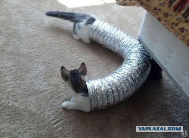 Жители ЦФО, кто как завелся в мороз?