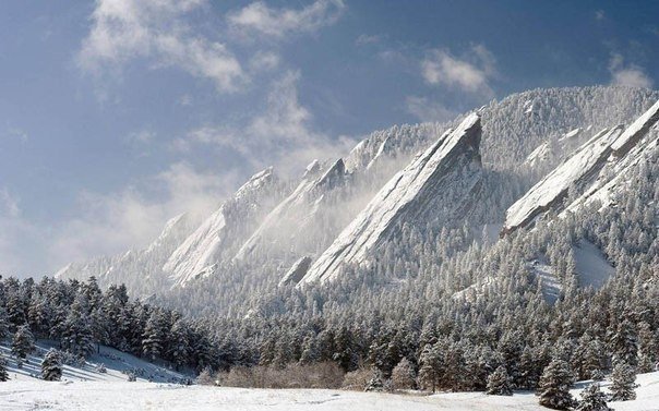 Моменты, запечатлённые на фото и просто позитив 5