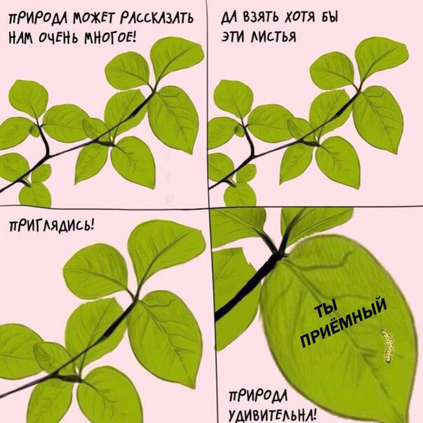 Нас преследует лёгкая деградация Япа