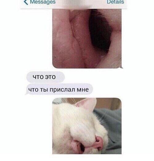 Приколы в стиле "регресс"