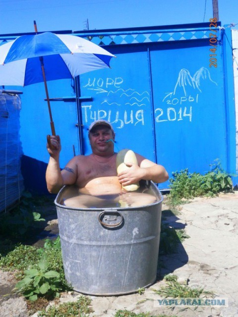 На дачу фигачу